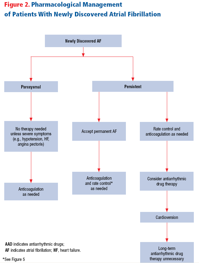 Paroxysmal Atrial Fibrillation